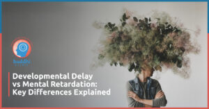 developmental delay vs mental retardation