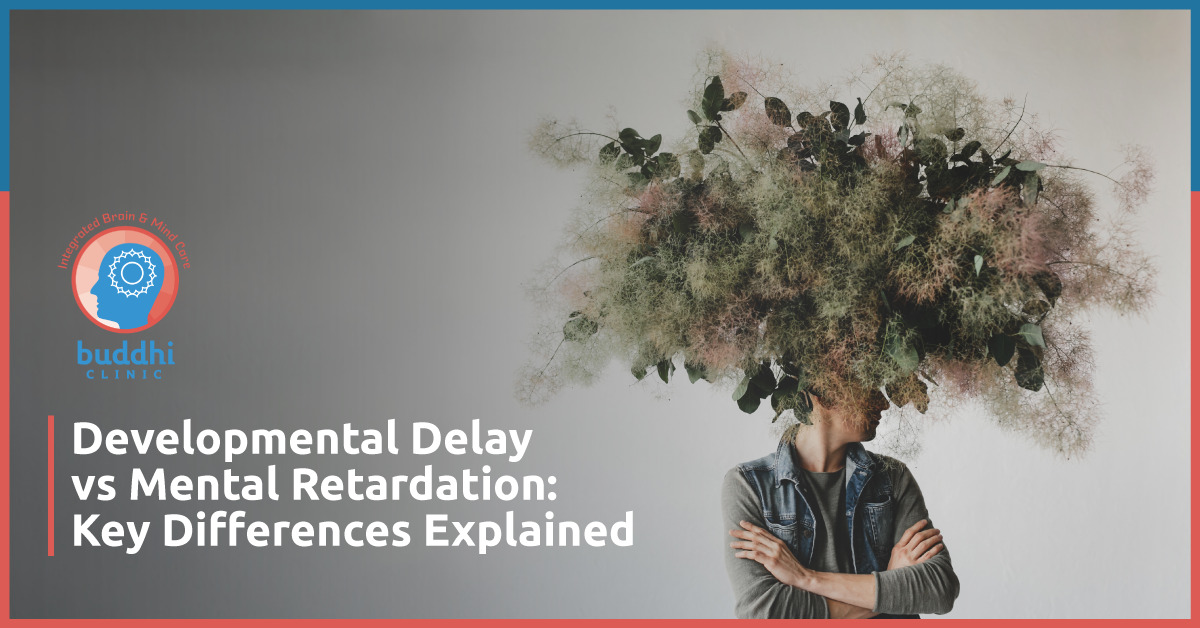 developmental delay vs mental retardation
